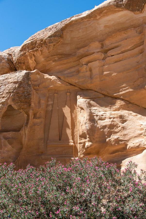 Bedouin Pink Ecohouse Bed & Breakfast Wadi Musa Exterior photo